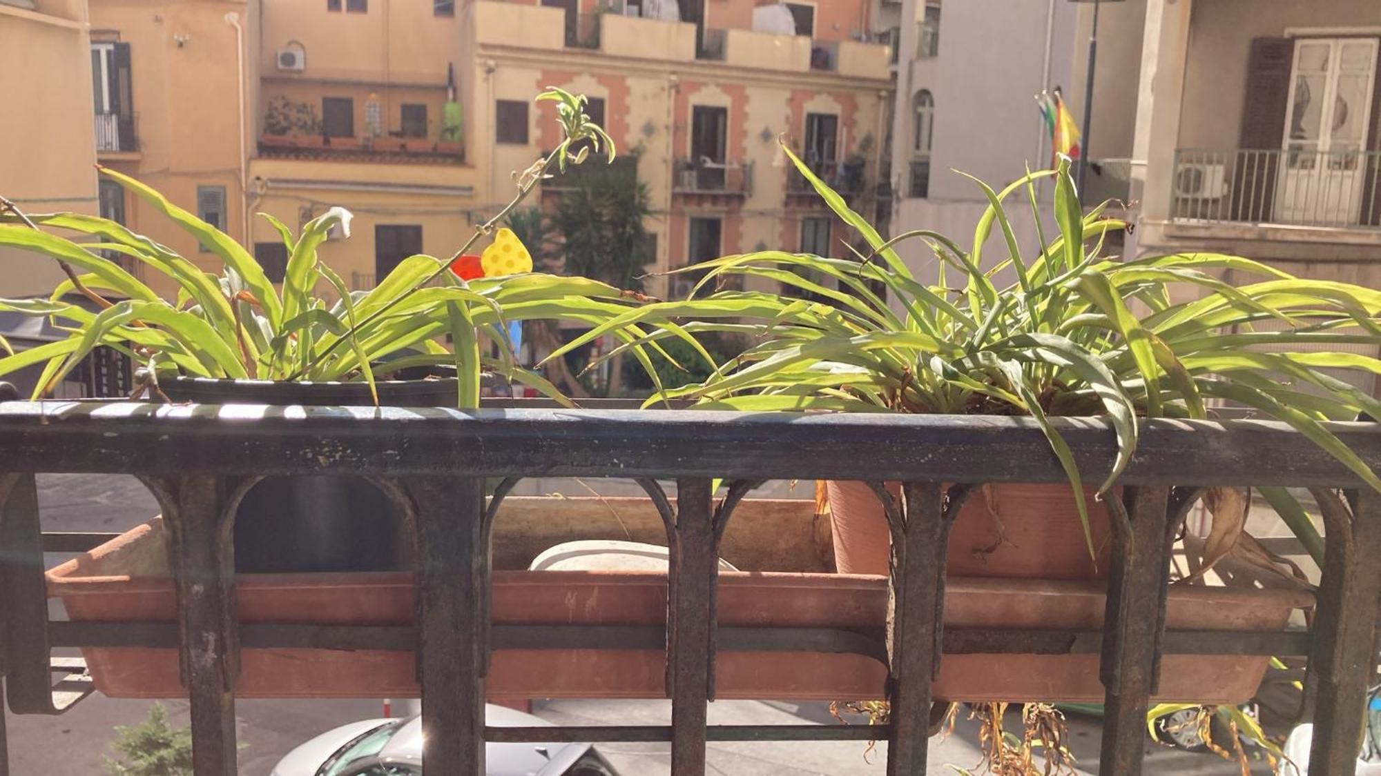 Casa Empedocle